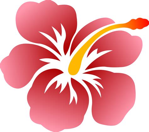 Hibiscus clipart big flower, Hibiscus big flower Transparent FREE for ...