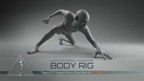 Universal Human Body Rig