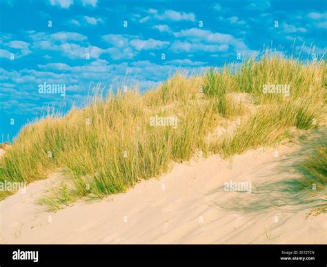 Dune With Beach Grass Stock Photo - Alamy