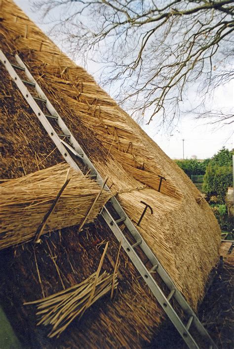 A Beginner’s Guide | Thatching Info.com | Thatched roof, Natural ...