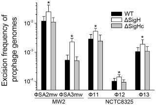 Alternative Sigma Factor σH Modulates Prophage Integration and Excision in Staphylococcus aureus