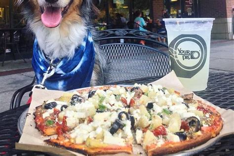 Dog Friendly Restaurants in Covington, GA - BringFido