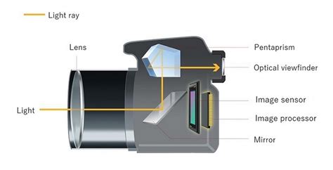 Digital SLR Cameras | Canon Global