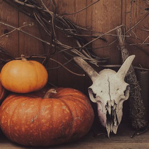 Embracing the Spirit of Samhain: Rituals, Activities, Decor, and Ways to Celebrate — Drawn ...