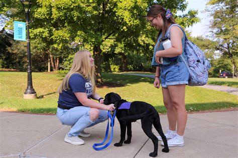 Elizabethtown College Student Pilots Service Dog Training Program on Campus | Etown News