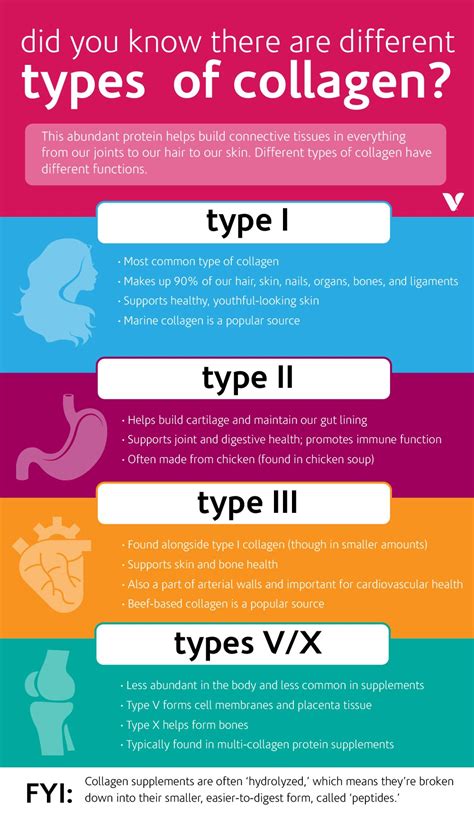 What Are The Different Collagen Types