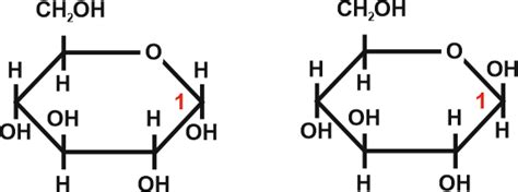 The Impact of Starch & Sugar on Equine Diets