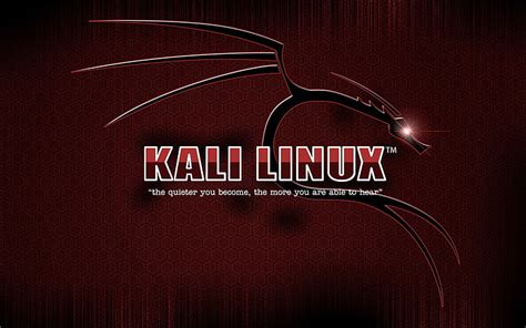 HD wallpaper: Technology, Kali Linux | Wallpaper Flare