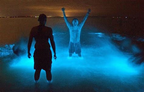 Sweet Dreams Are Made of These...: Bioluminescent Bay - Fajardo, Puerto ...