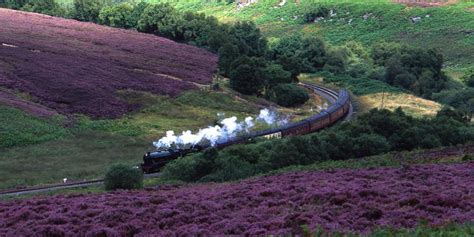 North Yorkshire Moors Railway Tours | Rail Discoveries