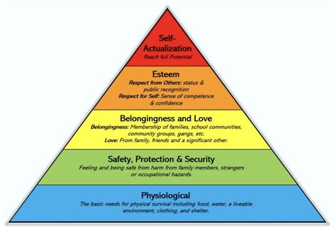 Safety as a Basic Human Need – Maslow's Hierarchy of Needs - Kami Home News