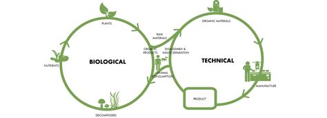 Design for Circular Economy | SOS - School of Sustainability