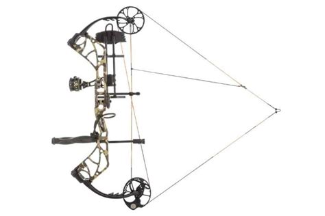 Bear Archery Species RTH [Review] – BowAddicted