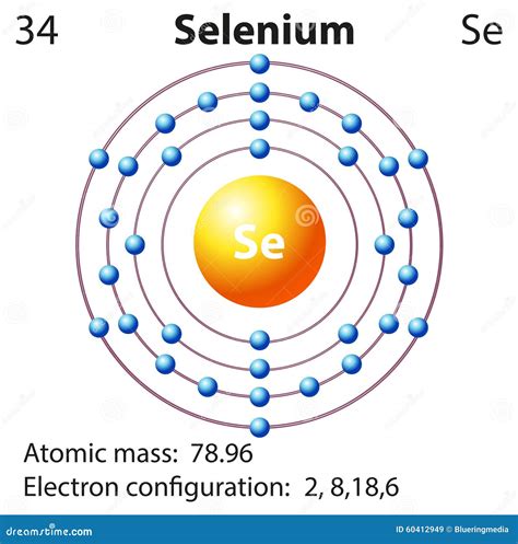 Symbol and Electron Diagram for Selenium Stock Illustration ...