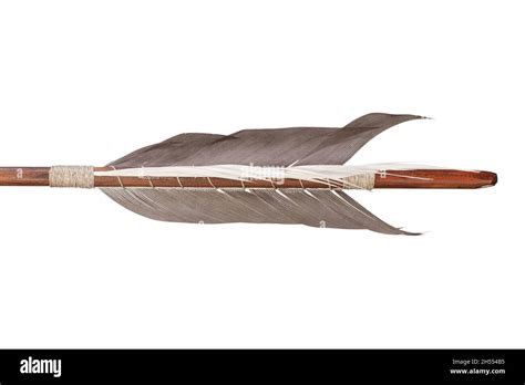 Feather fletching of traditional target arrow isolated on white background Stock Photo - Alamy