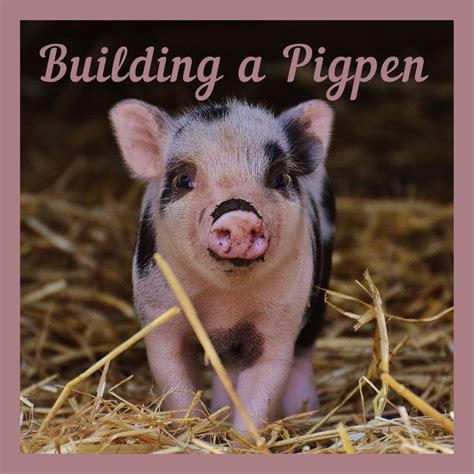 How to Build a Pigpen: Essential Elements of Hog Pens - PetHelpful