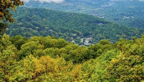 Appalachian Plateau Animals and Plants | Sciencing