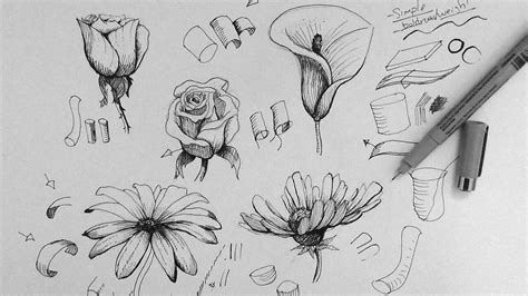 Pen & Ink Drawing Tutorial | How to draw flowers | Flower drawing ...