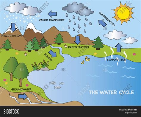 Water Cycle Image & Photo (Free Trial) | Bigstock