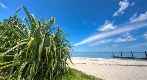 Bribie Island Beach Walk Bongaree Queensland October 2019 | Hikes and Walks | Adventurous Women ®️