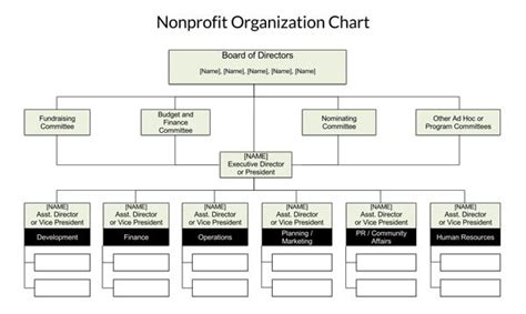 Non Profit Org Charts