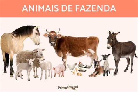 25 Animais de fazenda - Com FOTOS, ilustrações para colorir e mais!