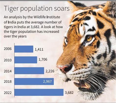 India’s tiger population rises, Madhya Pradesh has most big cats - The Hindu