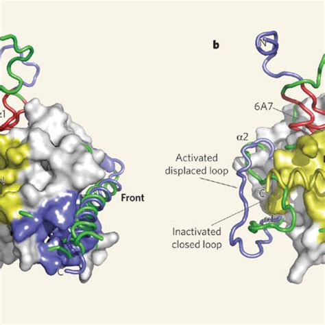 Activation of the BAX protein by the BIM SAHB domain.a, The structure... | Download Scientific ...