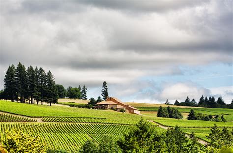 Domaine Drouhin Oregon - Travel Oregon