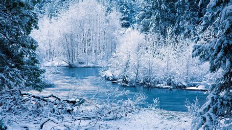 🔥 [50+] Snowy HD Wallpapers 3840x2160 | WallpaperSafari