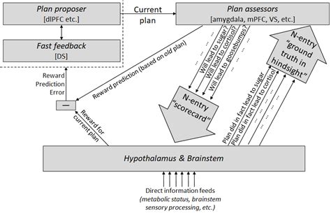 A model of decision-making in the brain (the short version) — AI Alignment Forum