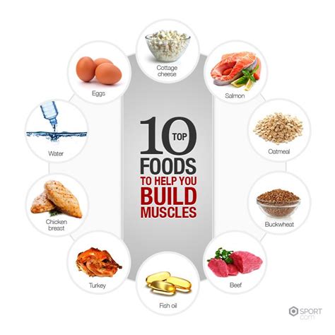 Top 10 Food Rich in Protein To Build Muscle- Infographic | xtremeNoDirect.com