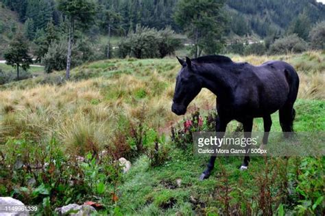 21 Heritage Trail Correctional Facility Stock Photos, High-Res Pictures, and Images - Getty Images