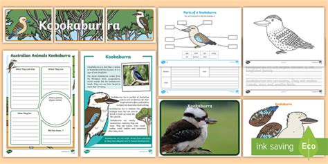 Holiday Project for Primary School | The Kookaburra | Twinkl