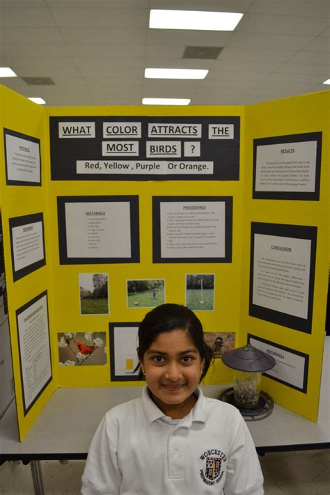 Science Expo Ideas 2024