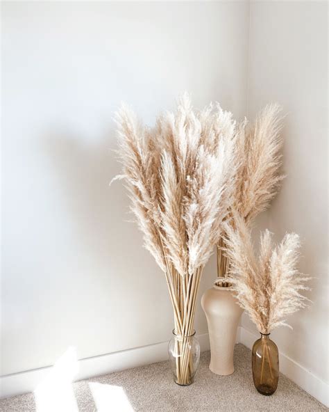 Pampas grass home decor | Grass decor, Pampas grass decor, Dried flowers