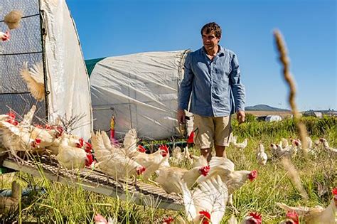 Poultry World Pick of the Year 2020: Farm reports - Poultry World