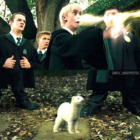 the harry potters are posing for pictures with their white dog in front ...