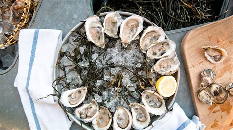 Island Oyster | Restaurants in Governors Island, New York