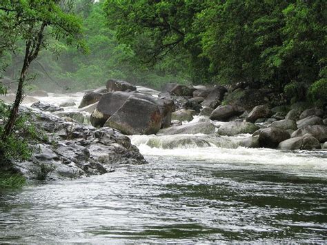 Mossman River - Alchetron, The Free Social Encyclopedia