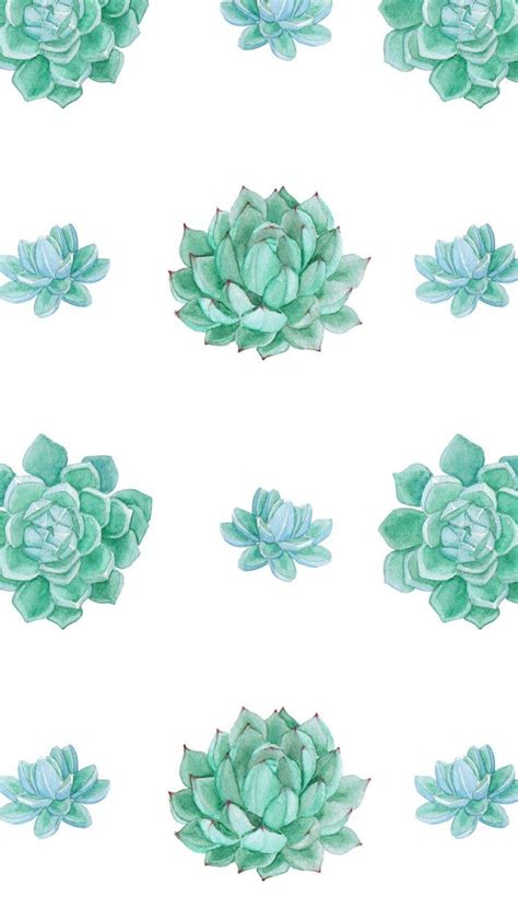 Succulent Phone Wallpapers - Top Free Succulent Phone Backgrounds - WallpaperAccess