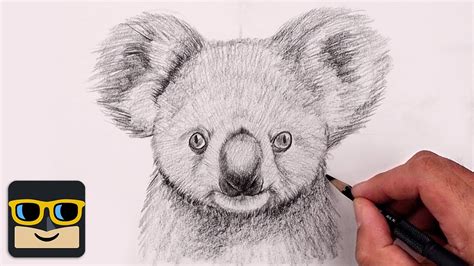 How To Draw a Koala | Sketch Tutorial - YouTube