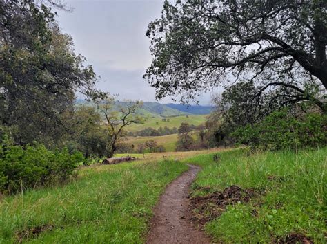 Hiking Mount Diablo Waterfall Loop (Partial) in Mount Diablo State Park, California - Hike Amazing