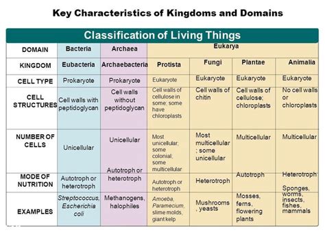 Classification of Living Things Chart | Science teaching resources, Teaching biology, Teaching life