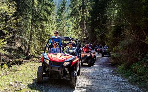 Arctic Cat Gear Store | Difference Between ATV and UTV Trail Riding ...