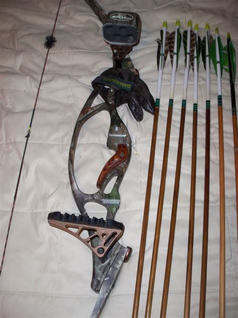 Hoyt Gamemaster II Review - a Recurve Bow Inspection