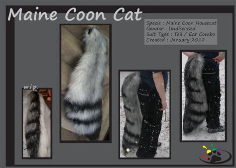 maine coon cat tail by SparkleKreations on DeviantArt