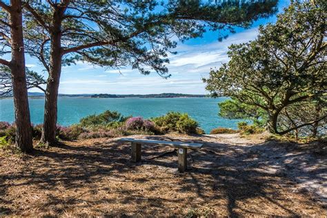 Brownsea Island walk - Brownsea Island Nature Reserve - Dorset walks