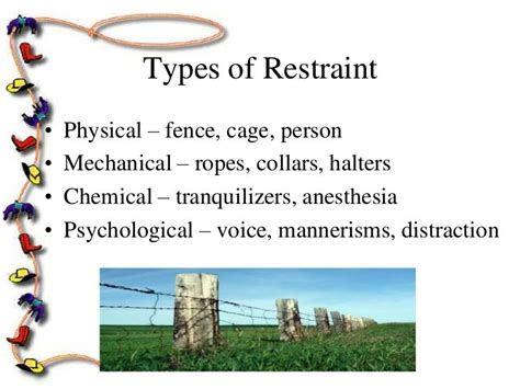 Lec 04 Restraint