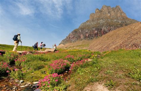 Logan Pass Visitor Center, Montana - Discovering Montana